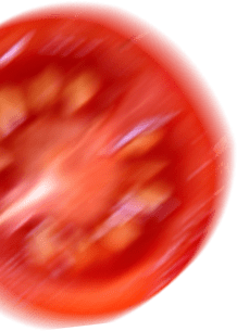 H2 tomato